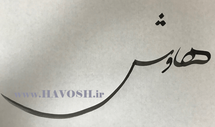 معنی نام هاوش 4 معنی هاوش